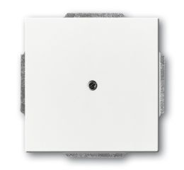 Future® linear, Solo®, Solo® carat, Busch-axcent® kryt zaslepovací 2CKA001710A3161 studio bílá ABB