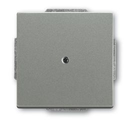 Solo®, Busch-axcent® kryt zaslepovací 2CKA001710A3843 metalická šedá ABB
