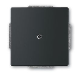 Future® linear, Busch-axcent® záslepka s třmenem 2CKA001710A3895 mechová černá ABB