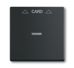 Future® linear, Busch-axcent® kryt spínače kartového 2CKA001710A3905 mechová černá ABB