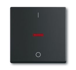 Future® linear, Busch-axcent® kryt jednoduchý s červeným průzorem, s potiskem 2CKA001751A3042 mechová černá ABB