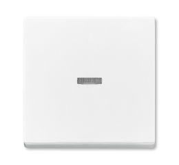 Future® linear, Solo®, Solo® carat, Busch-axcent® kryt spínače jednoduchého s čirým průzorem 3559B-A0065384 studio bílá ABB