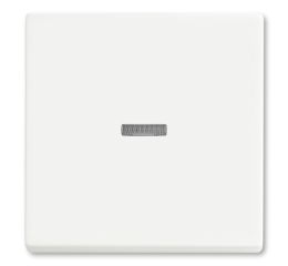 Future® linear, Busch-axcent® kryt spínače jednoduchý s čirým průzorem 3559B-A00653884 mechová bílá ABB