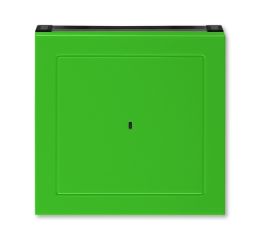 Levit® kryt spínače kartového 3559H-A00700 67 zelená/kouřová černá ABB