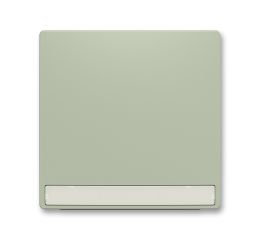 Zoni® kryt spínače jednoduchý s popisovým polem 3559T-A00610 243 olivová ABB