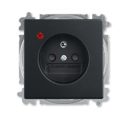 Future® linear, Busch-axcent® zásuvka jednonásobná s ochranným kolíkem a ochranou před přepětím 5599B-A02357885 mechová černá, ABB