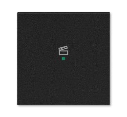 Levit M® kryt jednonásobný, symbol scény 6220H-A01003 63 onyx ABB