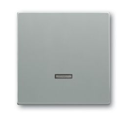 Future® linear, Busch-axcent® kryt stmívače s tlačítkovým ovládáním 2CKA006599A2887 hliníková stříbrná ABB