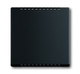 Future® linear, Busch-axcent® kryt modulu výknového stmívacího, termostatu komerčního 2CKA006599A2967 mechovová černá ABB