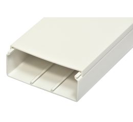 Lišta vkládací 100x40 mm bílá délka 2m typ D1007 Malpro cena za 1m