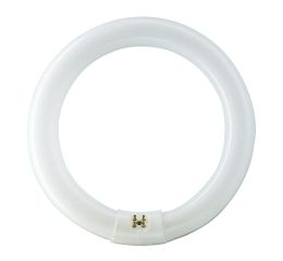 Trubice zářivková 22W/840 G10q TL-E kruhová  PHILIPS 928026284070