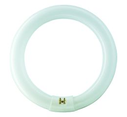 MASTER TL-E Circular Super 80 40W/830 1CT  40W 393  Philips