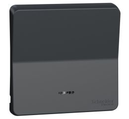 Mureva Styl MUR34204 Klapka s kontrolku jednonásobná, Antracit, Schneider Electric