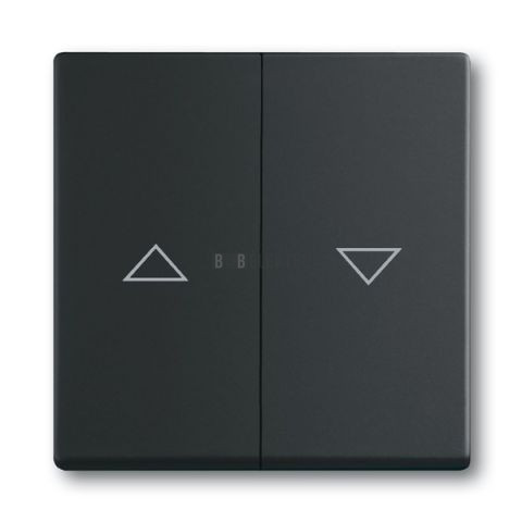 Future® linear, Busch-axcent® kryt spínače žaluziového, dělený s potiskem 2CKA001751A3036 mechová černá ABB