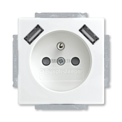 Future® linear, Busch-axcent® zásuvka jednonásobná s kolíkem, s clonkami, s nabíjením 2xUSB-A 2CKA002017A1893 mechová bílá ABB