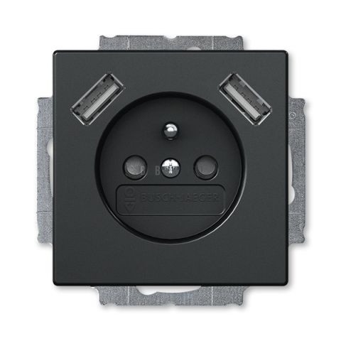 Future® linear, Busch-axcent® zásuvka jednonásobná s kolíkem, clonkami a nabíjením 2xUSB-A 2CKA002017A1894 mechová černá ABB