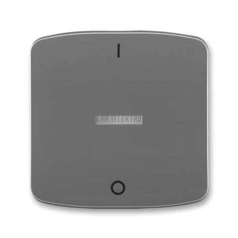 Tango® kryt spínače jednoduchý s čirým průzorem a potiskem 3558A-A655 S2 kouřová šedá ABB