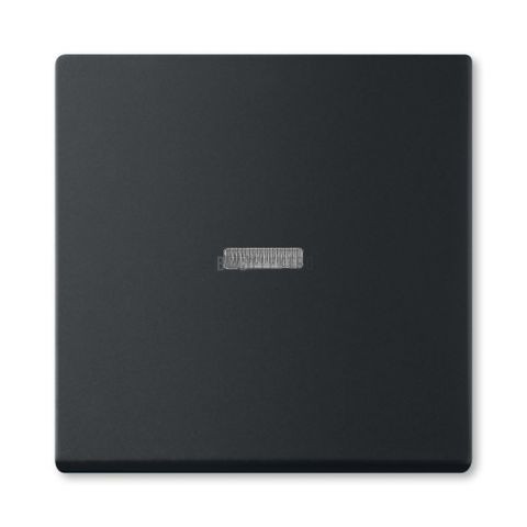 Future® linear, Busch-axcent® kryt spínače jednoduchý s čirým průzorem 3559B-A00653885 mechová černá ABB